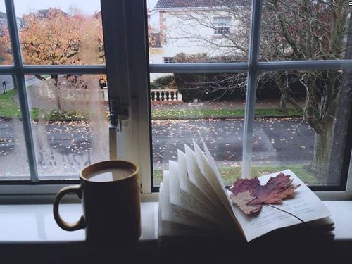 ¿Qué leer? 5 novelas cortas para leer en una tarde de lluvia